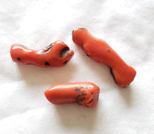 Load image into Gallery viewer, Antique Berber 3 Natural Branch Red Coral Beads Morocco 16gr Mediterranean