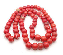 Load image into Gallery viewer, Venetian Red And White Dot Skunks, African Trade, Beads late 19th, centuries
